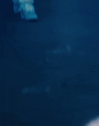 Солнцезащитные очки купить недорого в 2025 году